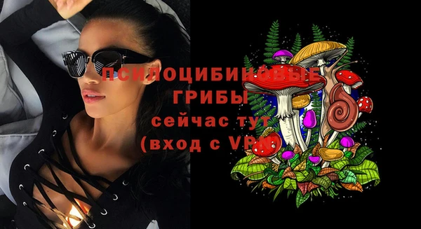винт Алексин