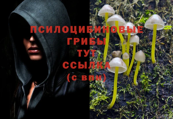 винт Алексин