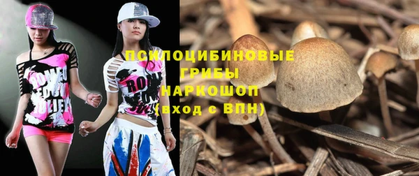 винт Алексин