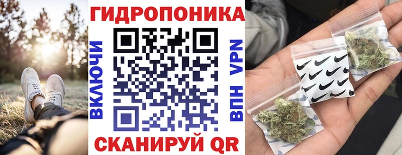 Каннабис индика Приморск